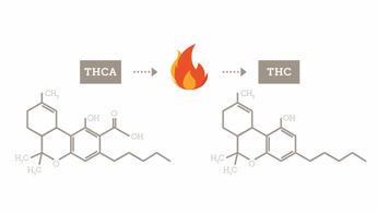 How to Assess THC and CBD Levels in Cannabis Strains and Products